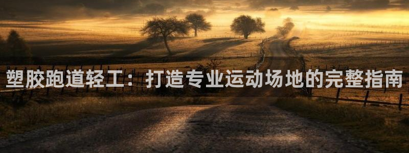 z6com尊龙：塑胶跑道轻工：打造专业运动场地的完整