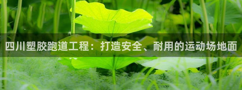agz6尊龙凯时集团：四川塑胶跑道工程：打造安全、耐