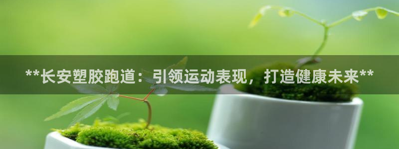 尊龙新版app：**长安塑胶跑道：引领运动表现，打造健康未来**
