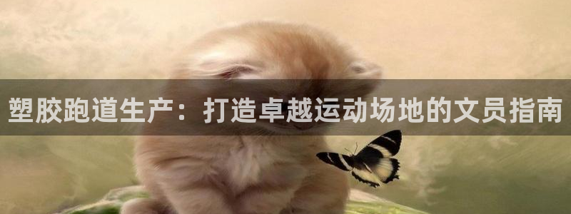 尊龙凯时d3563：塑胶跑道生产：打造卓越运动场地的