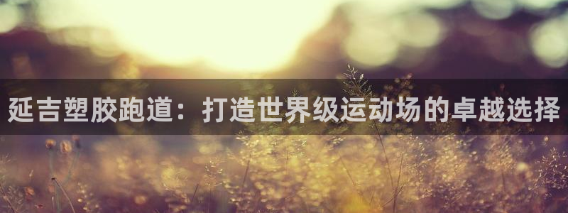 尊龙凯时网站网址：延吉塑胶跑道：打造世界级运动场的卓越选择