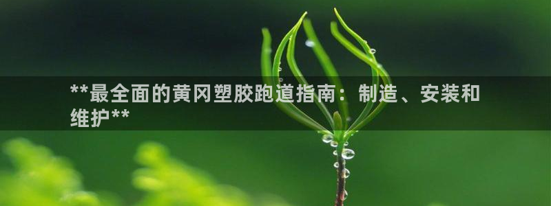 尊龙凯时登陆：**最全面的黄冈塑胶跑道指南：制造、安