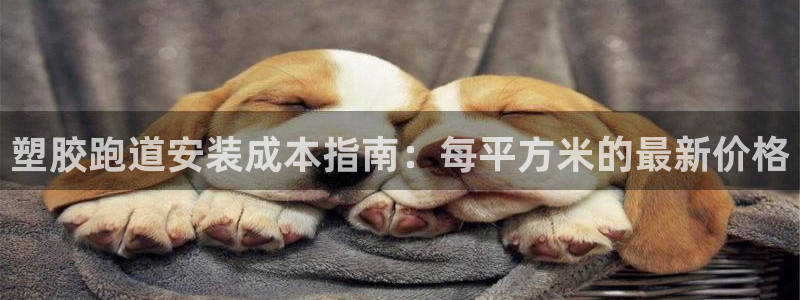 尊龙人生就是博客服：塑胶跑道安装成本指南：每平方米的