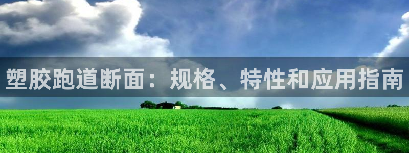 尊龙网站手机下载：塑胶跑道断面：规格、特性和应用指南
