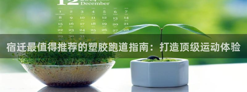 尊龙网站 人生就是博：宿迁最值得推荐的塑胶跑道指南：