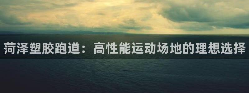尊龙官网地址：菏泽塑胶跑道：高性能运动场地的理想选择