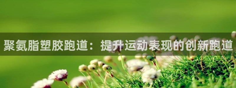 尊龙凯时有限公司：聚氨脂塑胶跑道：提升运动表现的创新