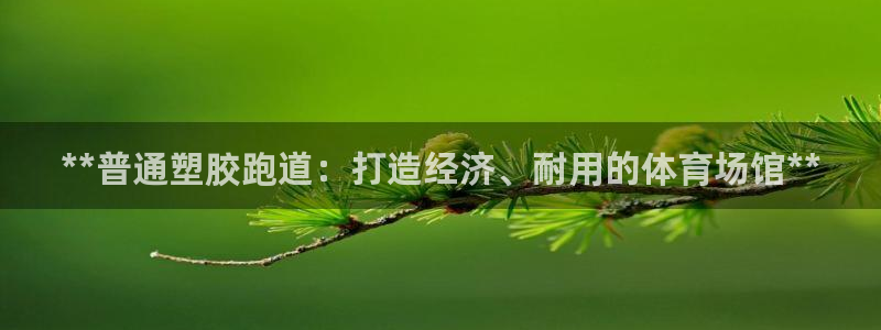 尊龙AG旗舰厅官网：**普通塑胶跑道：打造经济、耐用