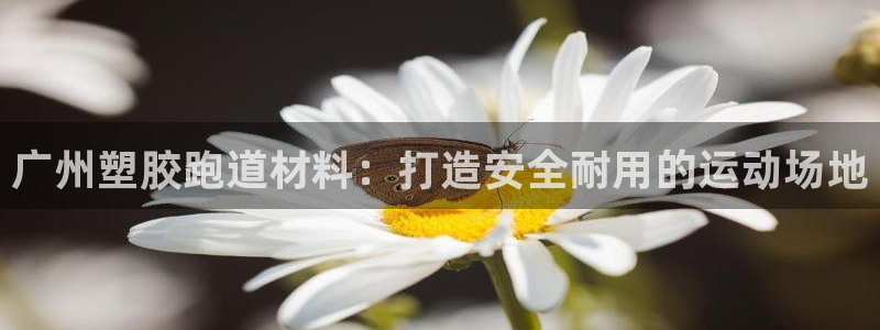 尊龙ag旗舰厅官网·(中国)官方入口：广州塑胶跑道材料：打造安全耐用的运动场地