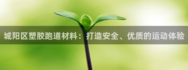 尊龙ag旗舰厅下载：城阳区塑胶跑道材料：打造安全、优