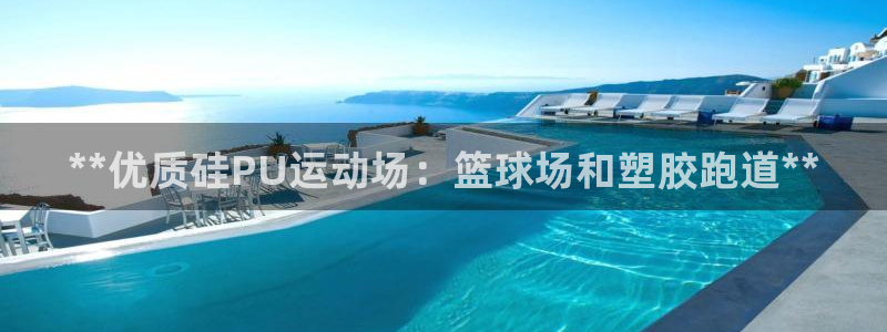 尊龙凯时代理佣金发不发：**优质硅PU运动场：篮球场