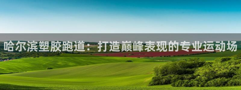 凯时尊龙平台登录：哈尔滨塑胶跑道：打造巅峰表现的专业运动场