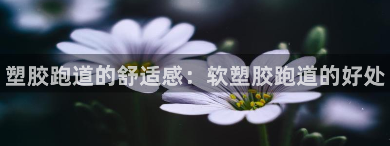 尊龙凯时人生就是博游戏网站：塑胶跑道的舒适感：软塑胶