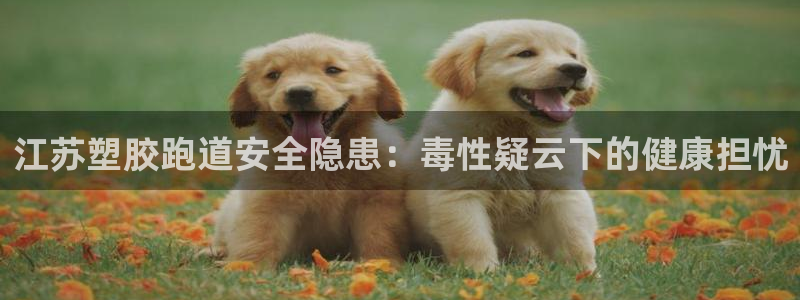 尊龙z6官网
