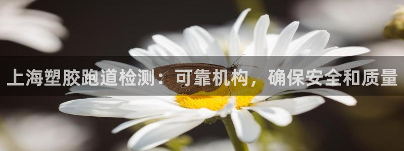 尊龙网站下分慢：上海塑胶跑道检测：可靠机构，确保安全和质量