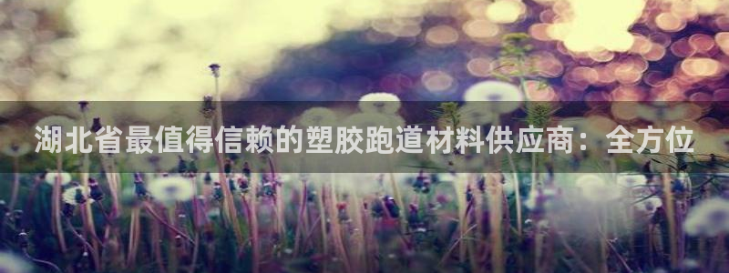 KB88凯时官网：湖北省最值得信赖的塑胶跑道材料供应