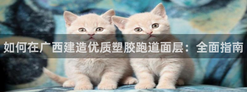 尊龙凯时是大平台吗：如何在广西建造优质塑胶跑道面层：