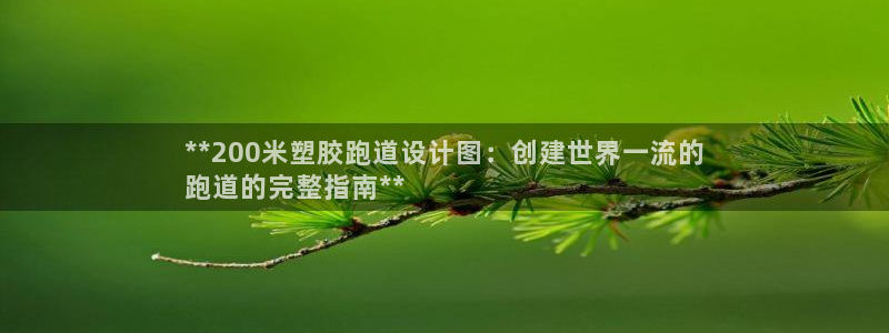 尊龙凯时ag旗舰厅试玩：**200米塑胶跑道设计图：