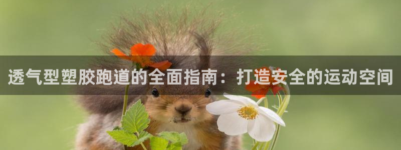尊龙app官网登录：透气型塑胶跑道的全面指南：打造安