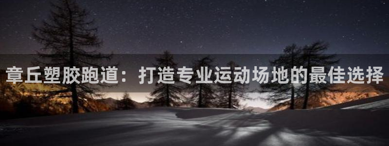 尊龙凯时旗舰厅官网：章丘塑胶跑道：打造专业运动场地的