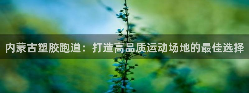尊龙凯时旗舰厅百家乐下载：内蒙古塑胶跑道：打造高品质