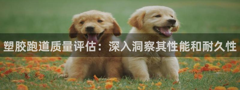 尊龙凯时发展历程：塑胶跑道质量评估：深入洞察其性能和