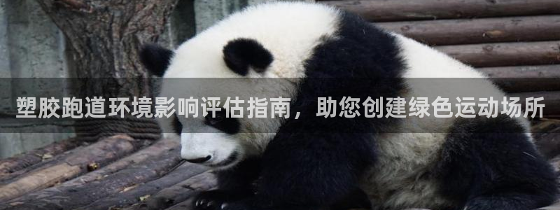 尊龙游戏官网游戏特色：塑胶跑道环境影响评估指南，助您