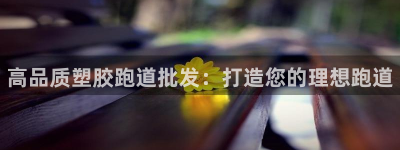 下载尊龙app：高品质塑胶跑道批发：打造您的理想跑道