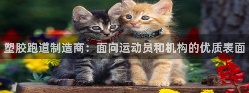 尊龙凯时这个平台怎么样：塑胶跑道制造商：面向运动员和机构的优质表面