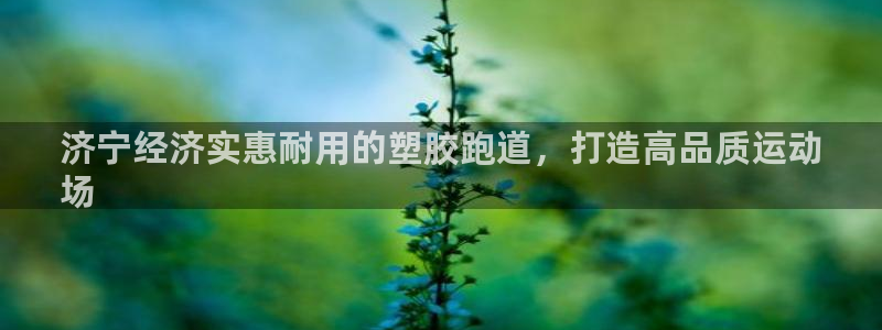 尊龙凯时为什么不封：济宁经济实惠耐用的塑胶跑道，打造