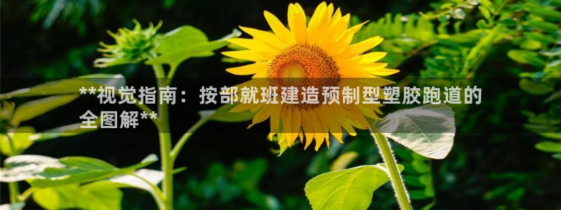 尊龙凯时官网登录入口：**视觉指南：按部就班建造预制