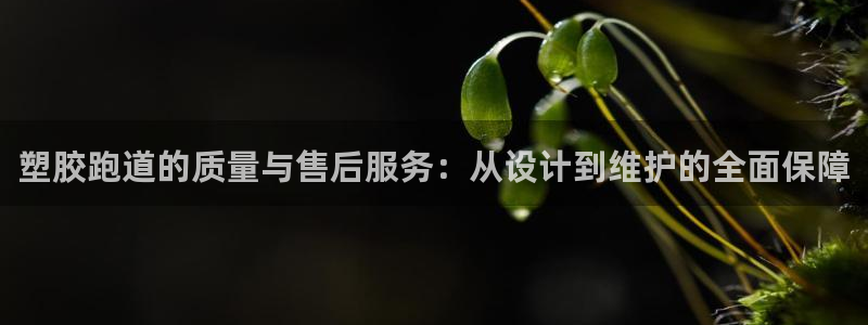 尊龙体育直接访问agbaofu.wang|ag暴富网