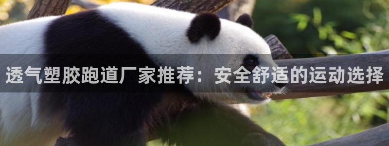 尊龙凯时ag旗舰厅登陆