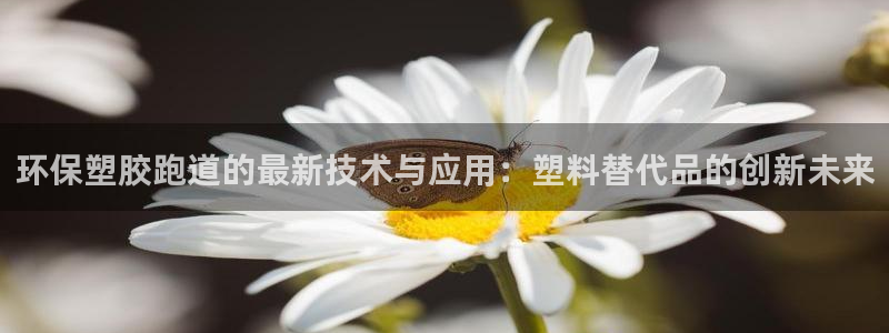 尊龙凯时白家乐