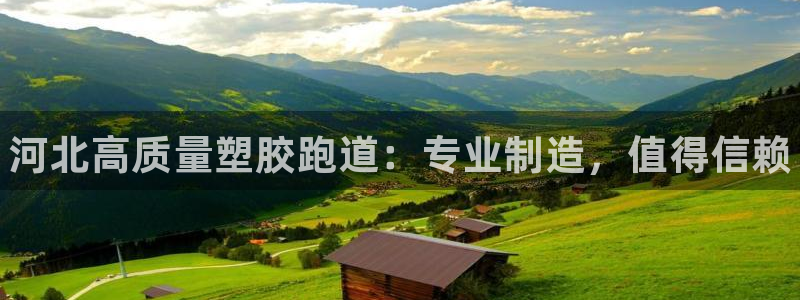 尊龙t300和t400哪个好：河北高质量塑胶跑道：专