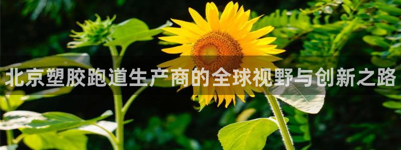 尊龙人生就是博网站下载