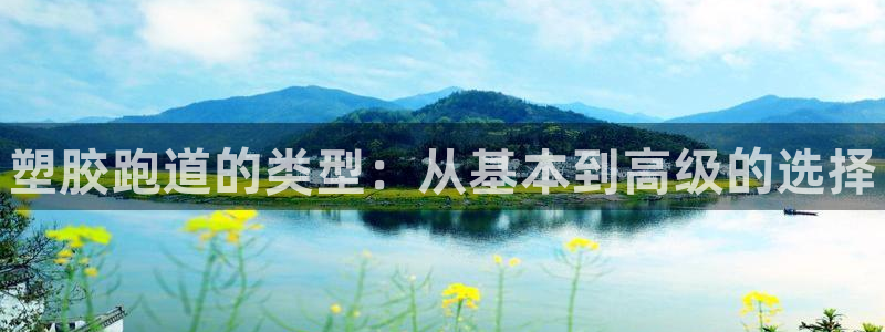 尊龙凯时网站登录：塑胶跑道的类型：从基本到高级的选择