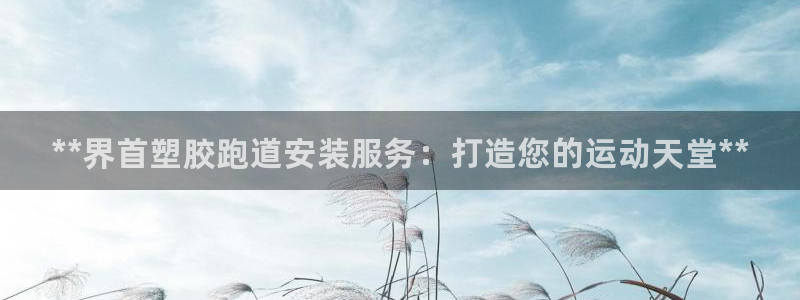 尊龙官网注册：**界首塑胶跑道安装服务：打造您的运动天堂**