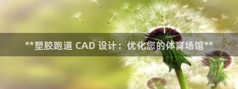 z6尊龙凯时旗舰厅首页：**塑胶跑道 CAD 设计：优化您的