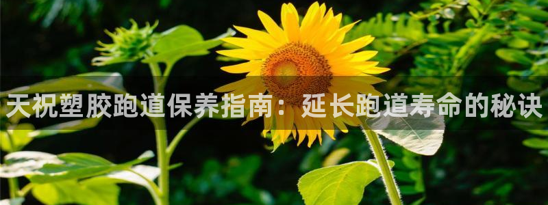 尊龙人生就是博首页：天祝塑胶跑道保养指南：延长跑道寿命的秘诀