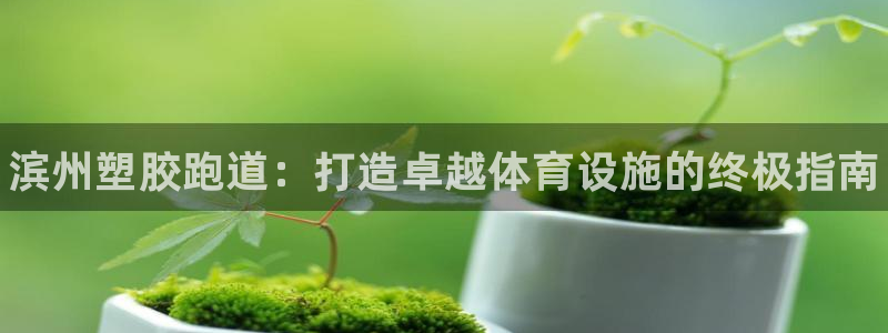 尊龙凯时集团：滨州塑胶跑道：打造卓越体育设施的终极指