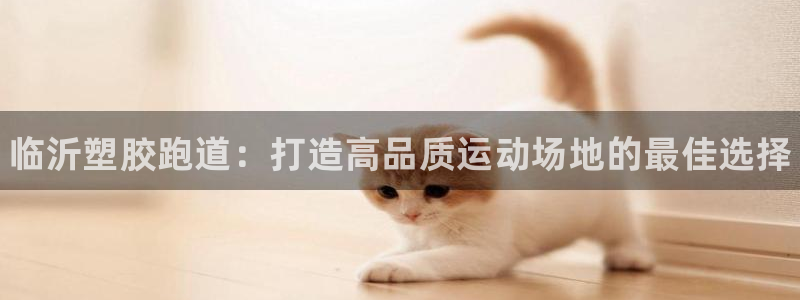 尊龙新版人生就是博!：临沂塑胶跑道：打造高品质运动场地的最佳