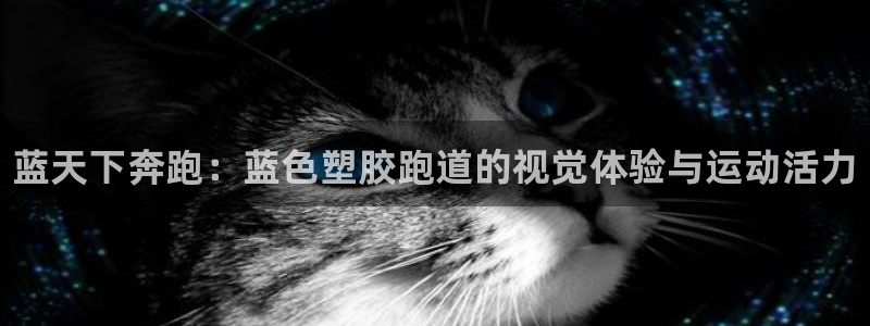 尊龙是什么软件