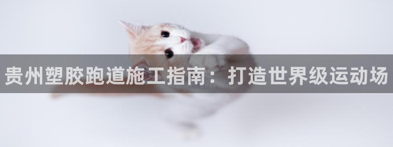 尊龙体育游戏平台：贵州塑胶跑道施工指南：打造世界级运动场