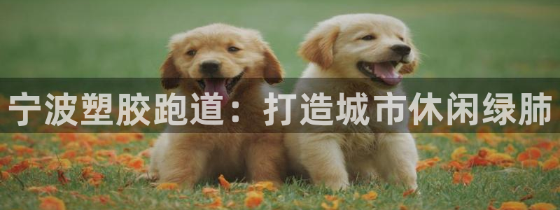 凯时国际app登录