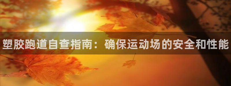 尊龙d88平台登录：塑胶跑道自查指南：确保运动场的安全和性能