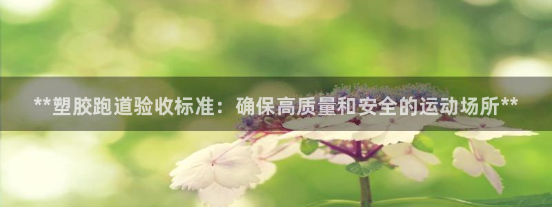 凯时是AG优质运营商：**塑胶跑道验收标准：确保高质