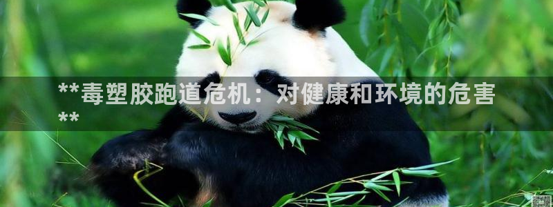 尊龙ag旗舰厅官网·(中国)官方入口：**毒塑胶跑道