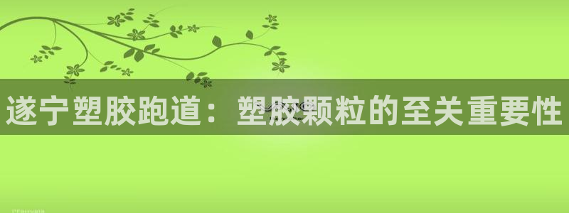 z6尊龙官网：遂宁塑胶跑道：塑胶颗粒的至关重要性