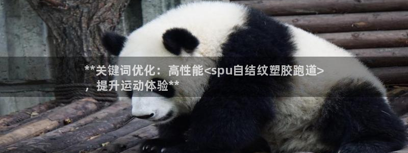 尊龙凯时推荐人：**关键词优化：高性能<spu自结纹塑胶跑道>
，提升运动体验**